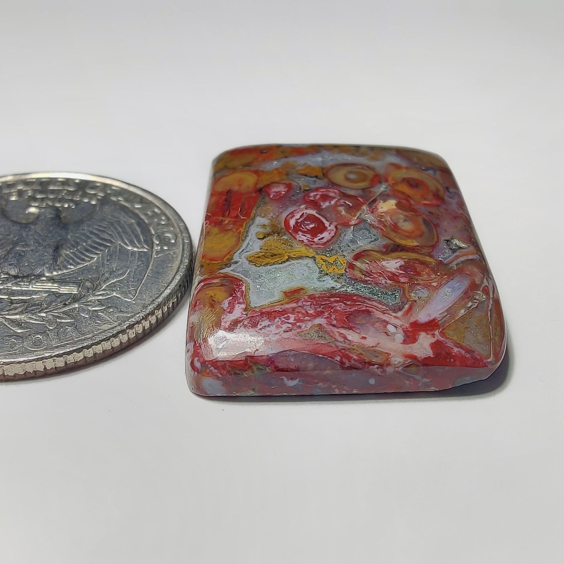 Palm Root Agate gemstone cabochon - natural crystal healing stone for jewelry making by Gemivra