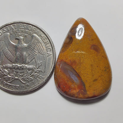 Palm Root Agate gemstone cabochon - natural crystal healing stone for jewelry making by Gemivra