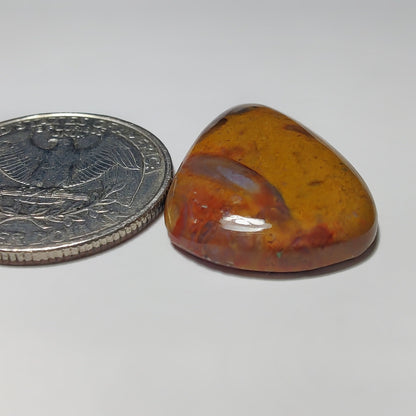 Palm Root Agate gemstone cabochon - natural crystal healing stone for jewelry making by Gemivra