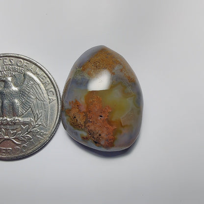 Ocean Jasper
