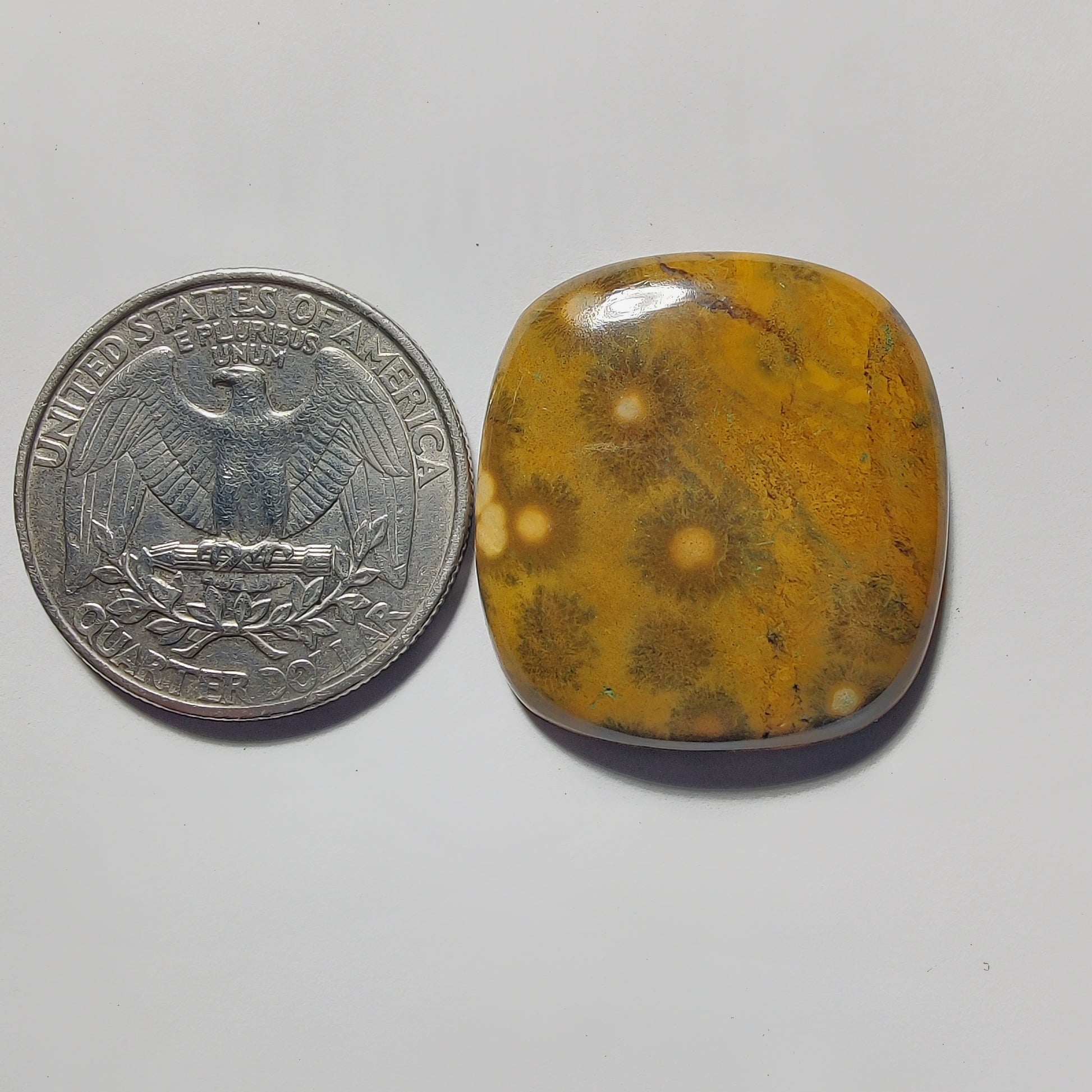 Ocean Jasper gemstone cabochon - natural crystal healing stone for jewelry making by Gemivra