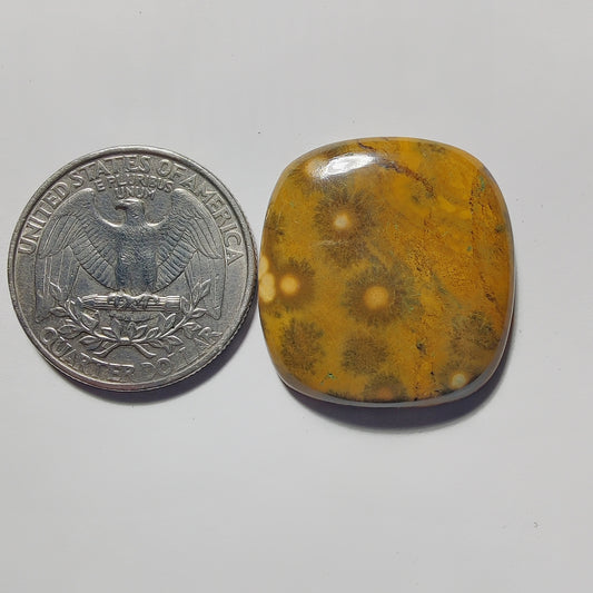 Ocean Jasper gemstone cabochon - natural crystal healing stone for jewelry making by Gemivra