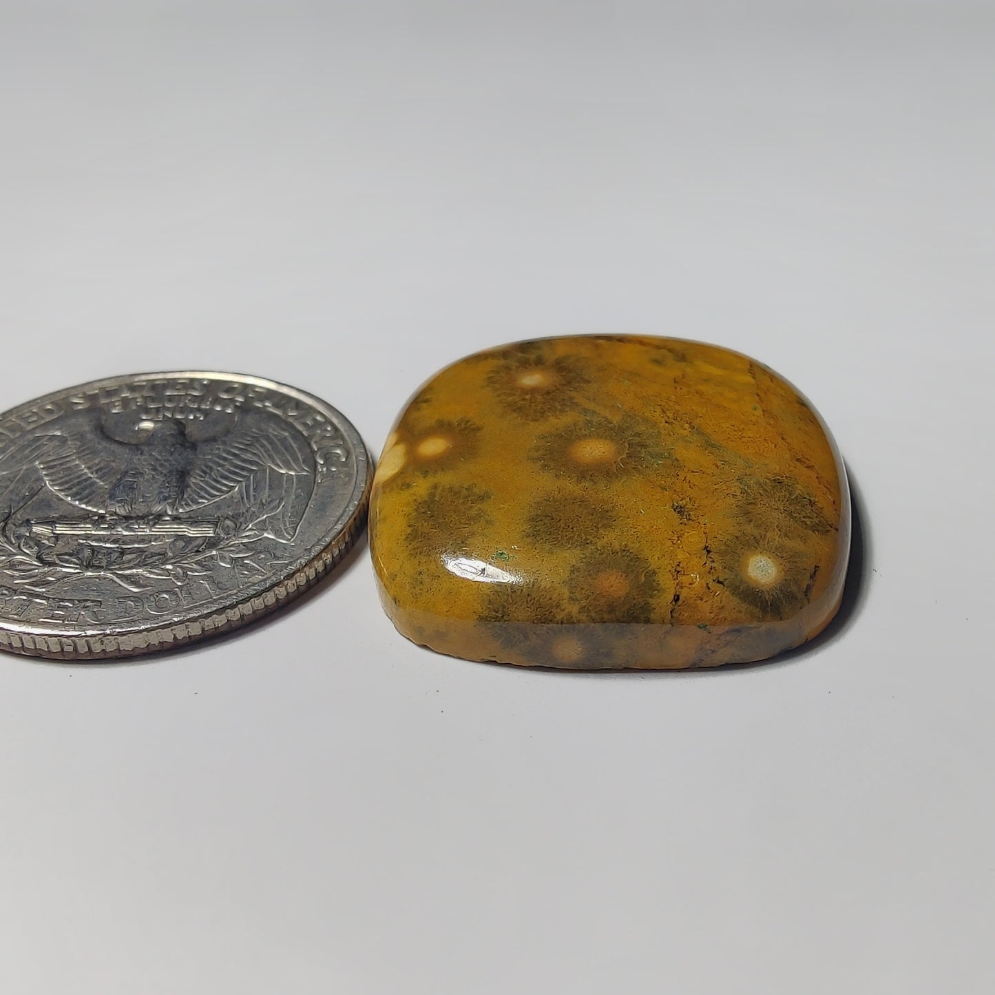 Ocean Jasper