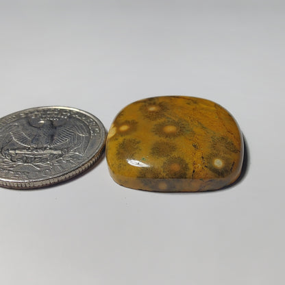 Ocean Jasper