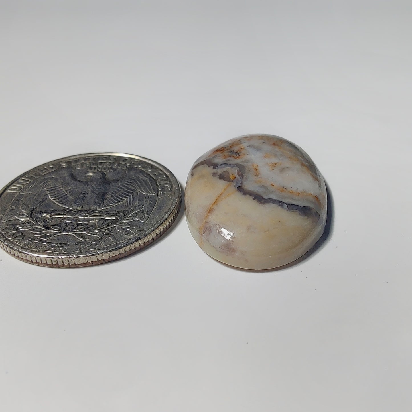 Wave Jasper