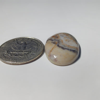Wave Jasper
