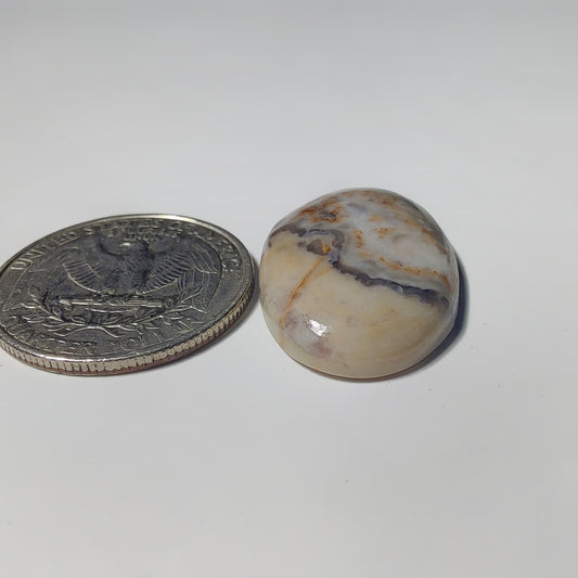 Wave Jasper