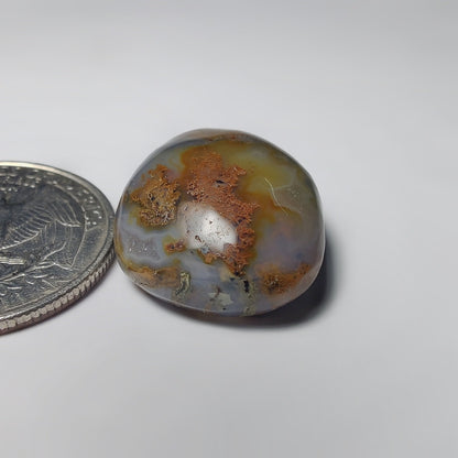 Ocean Jasper
