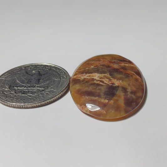 Butterlite Jasper