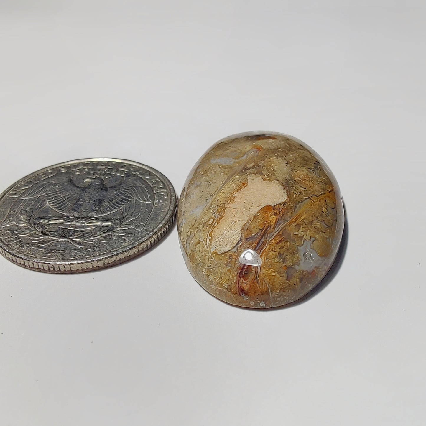 Rhyolite Jasper