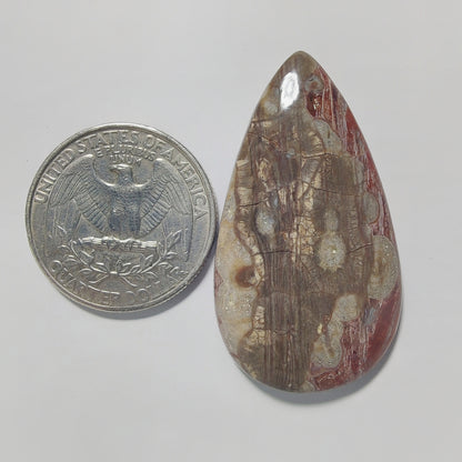 Rhyolite Jasper gemstone cabochon - natural crystal healing stone for jewelry making by Gemivra