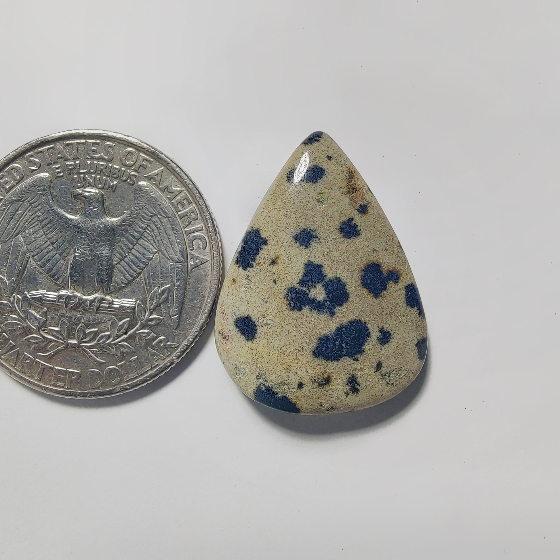 Dalmatian Jasper gemstone cabochon - natural crystal healing stone for jewelry making by Gemivra