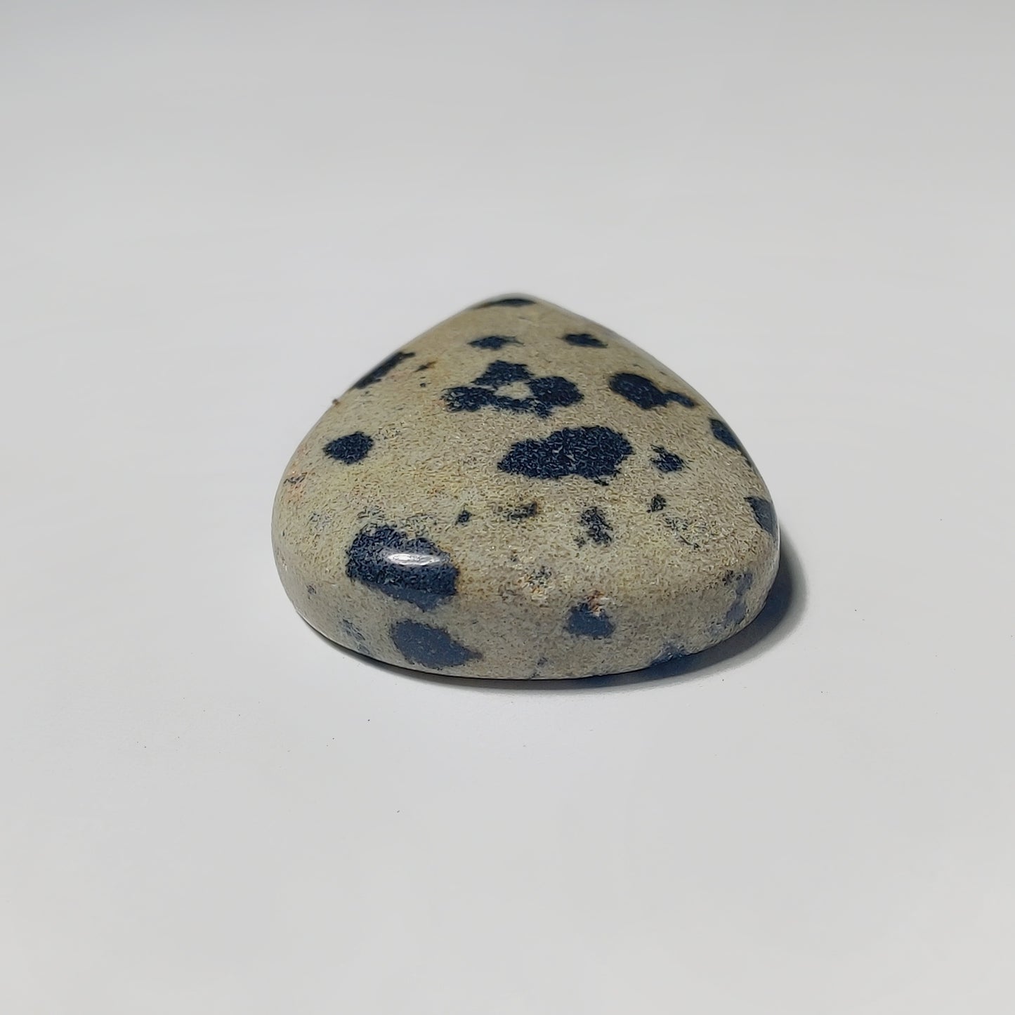 Dalmatian Jasper