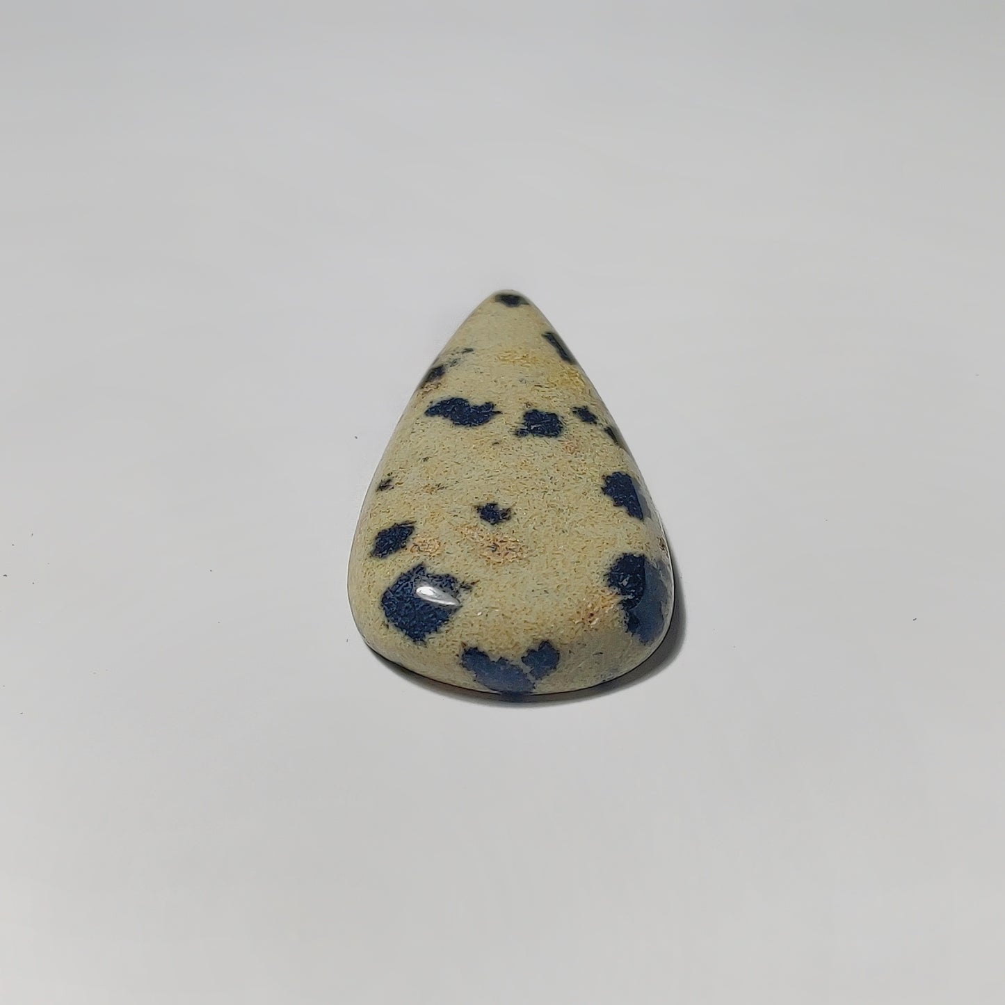 Dalmatian Jasper