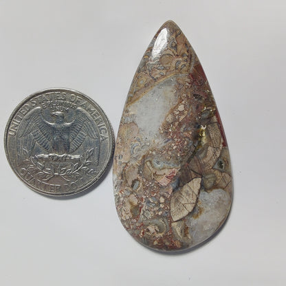 Rhyolite Jasper gemstone cabochon - natural crystal healing stone for jewelry making by Gemivra