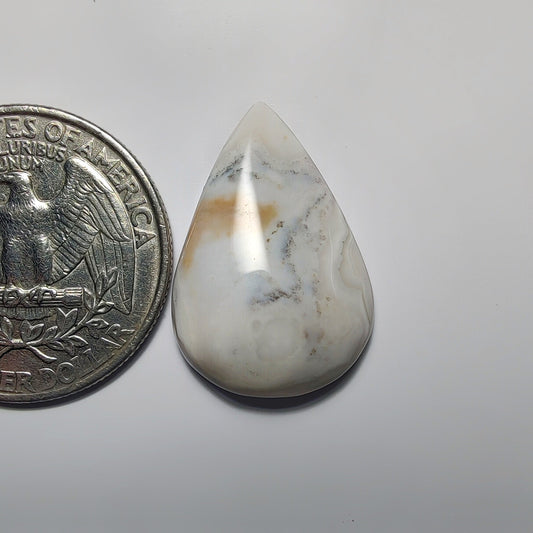 Ocean Jasper