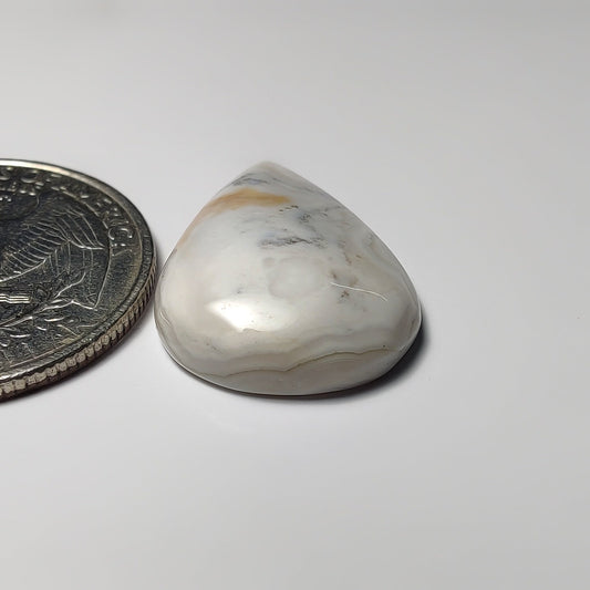 Ocean Jasper