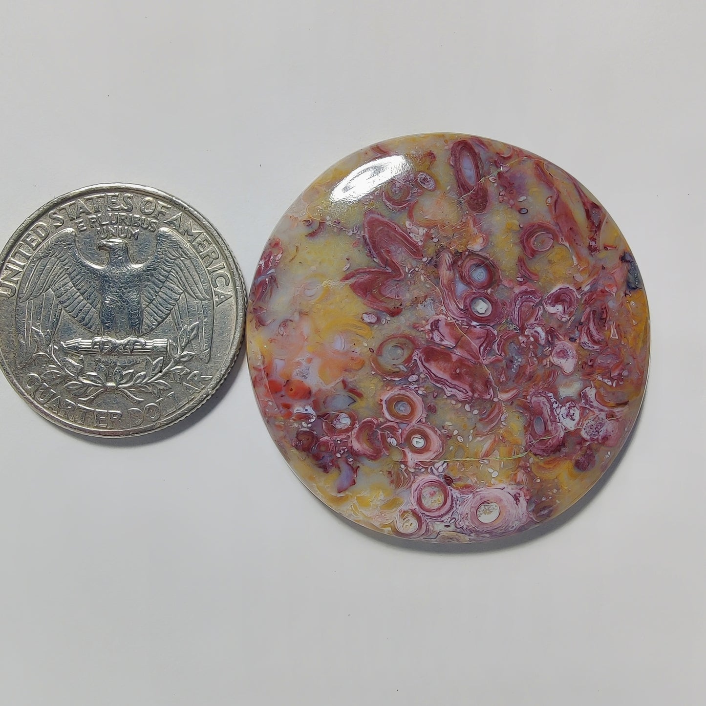 Palm Root Agate gemstone cabochon - natural crystal healing stone for jewelry making by Gemivra