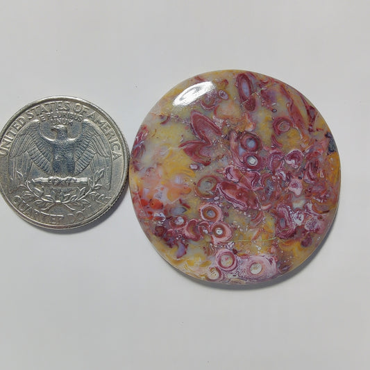Palm Root Agate gemstone cabochon - natural crystal healing stone for jewelry making by Gemivra