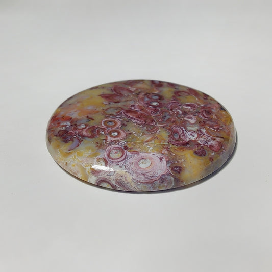 Palm Root Agate