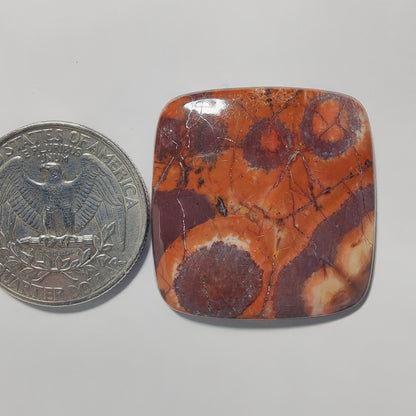 Bird Eye gemstone cabochon - natural crystal healing stone for jewelry making by Gemivra