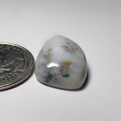 Ocean Jasper