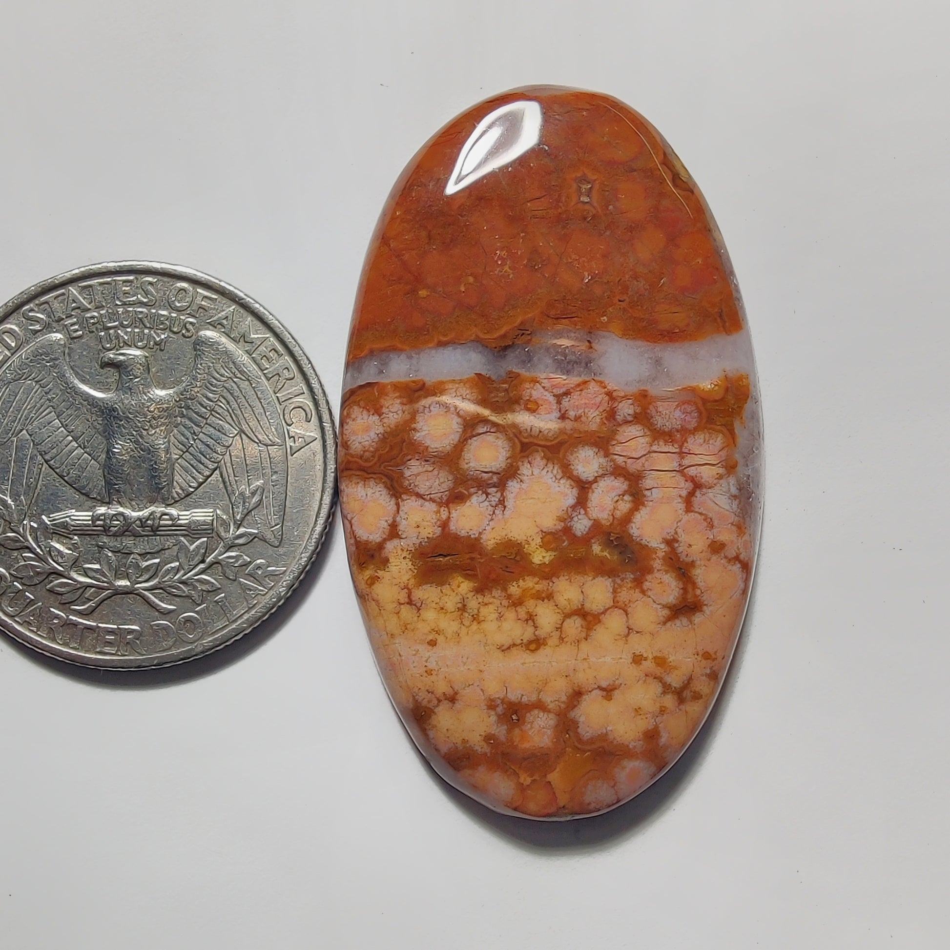 Ocean Jasper gemstone cabochon - natural crystal healing stone for jewelry making by Gemivra