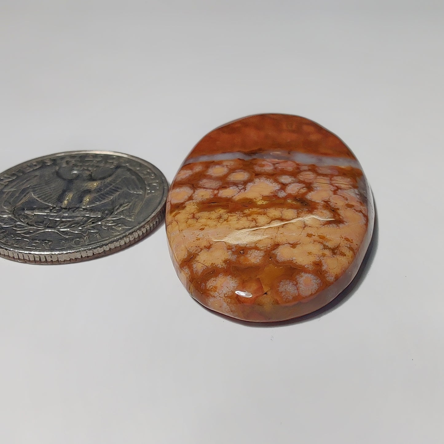 Ocean Jasper