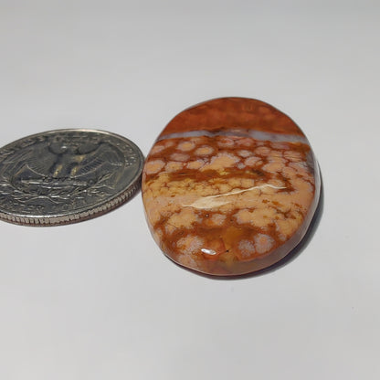 Ocean Jasper