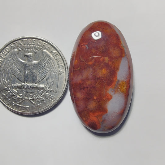 Ocean Jasper gemstone cabochon - natural crystal healing stone for jewelry making by Gemivra