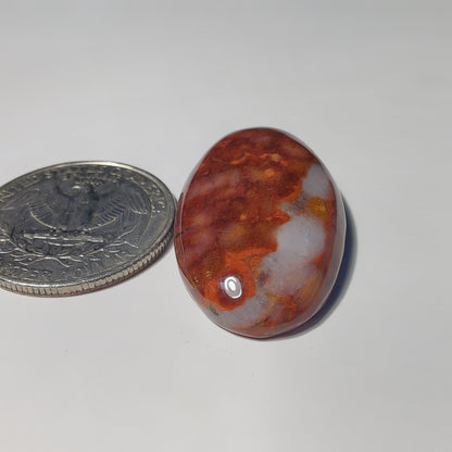 Ocean Jasper