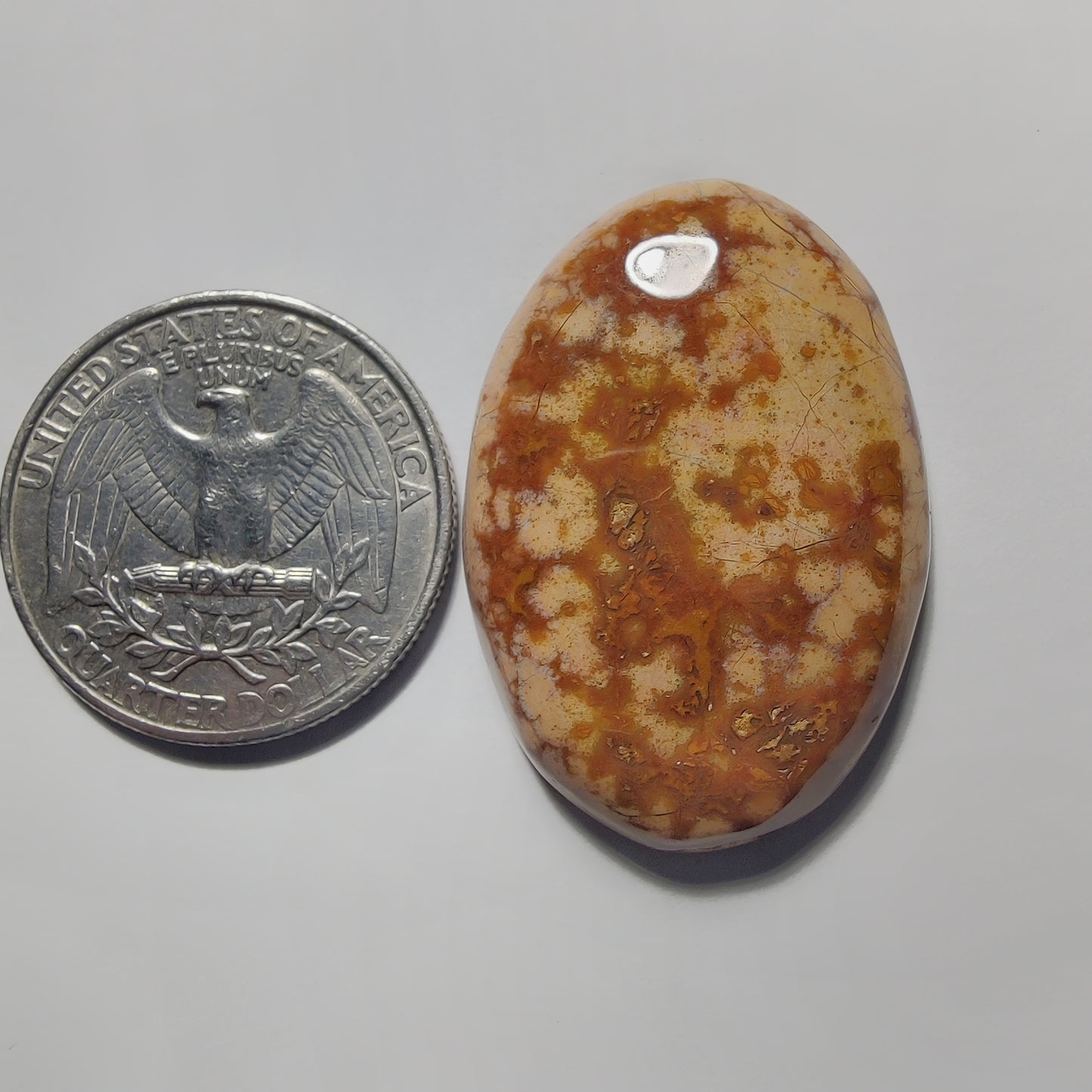 Ocean Jasper gemstone cabochon - natural crystal healing stone for jewelry making by Gemivra