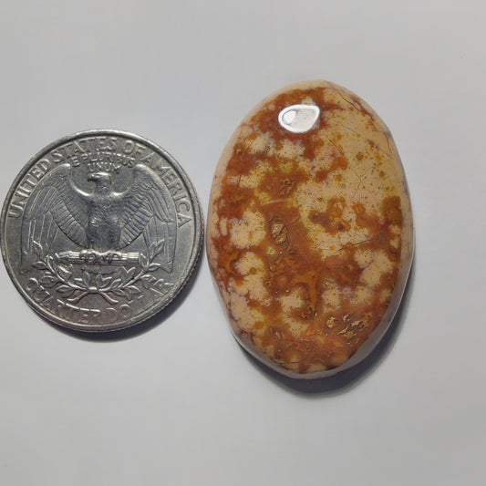 Ocean Jasper gemstone cabochon - natural crystal healing stone for jewelry making by Gemivra