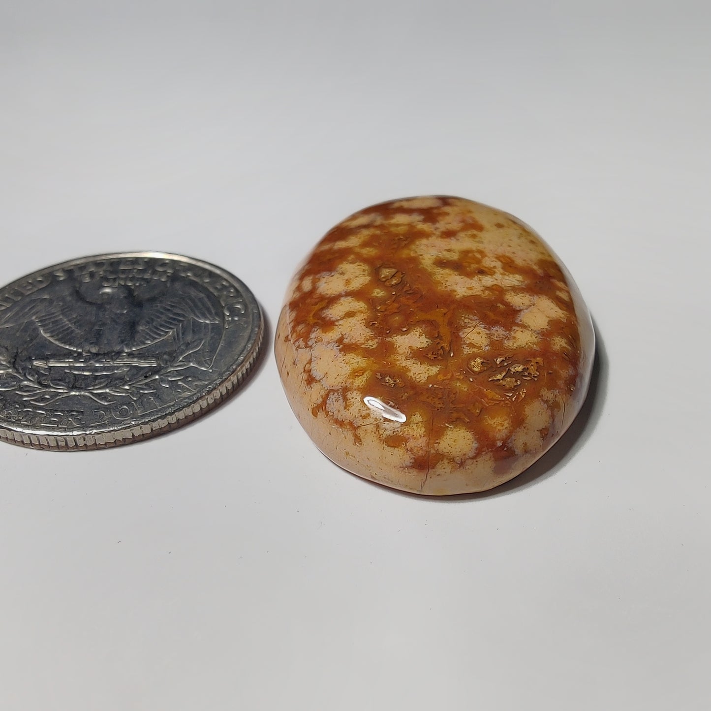 Ocean Jasper
