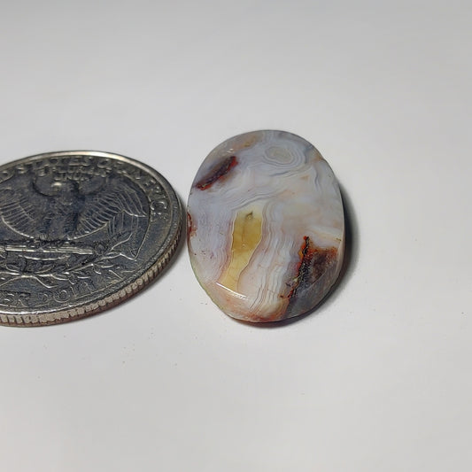 Crazy Lace Agate