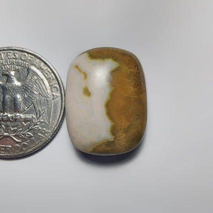 Ocean Jasper