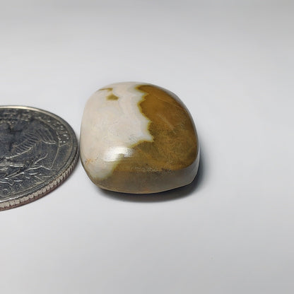 Ocean Jasper