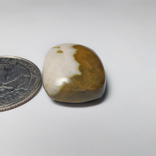 Ocean Jasper