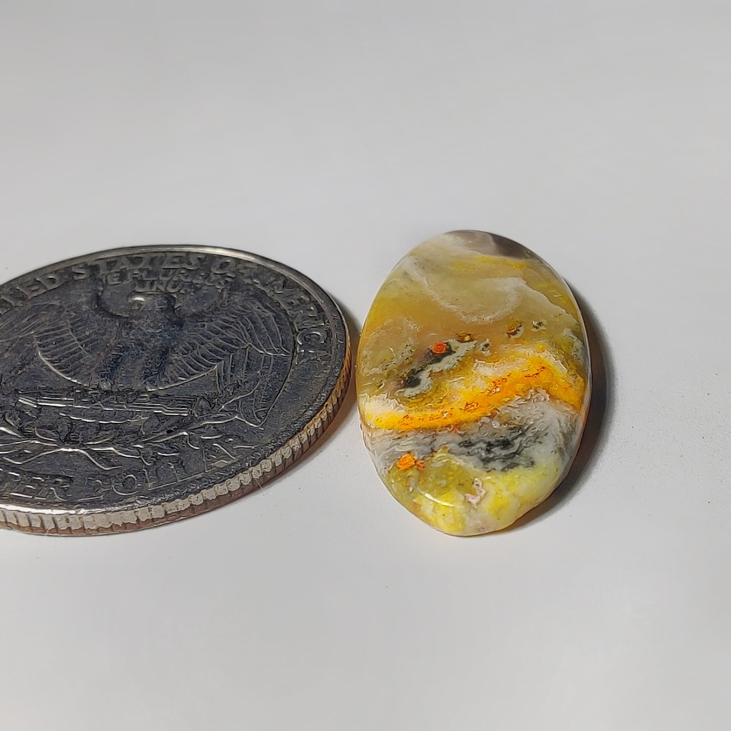 Bumblebee Jasper