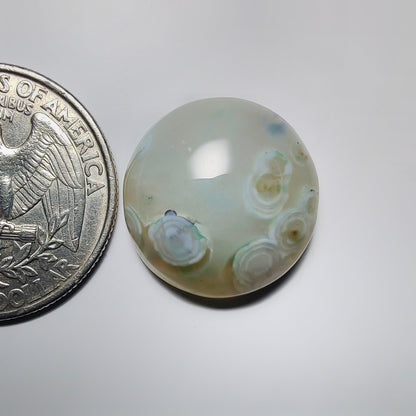 Ocean Jasper