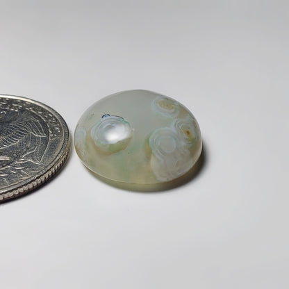 Ocean Jasper