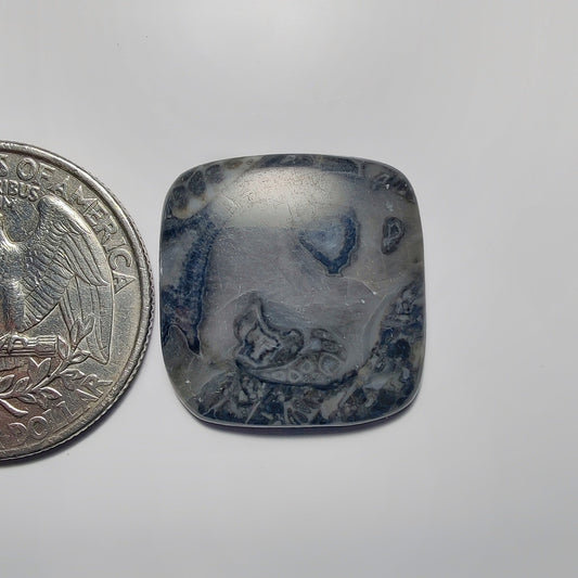 Ocean Jasper