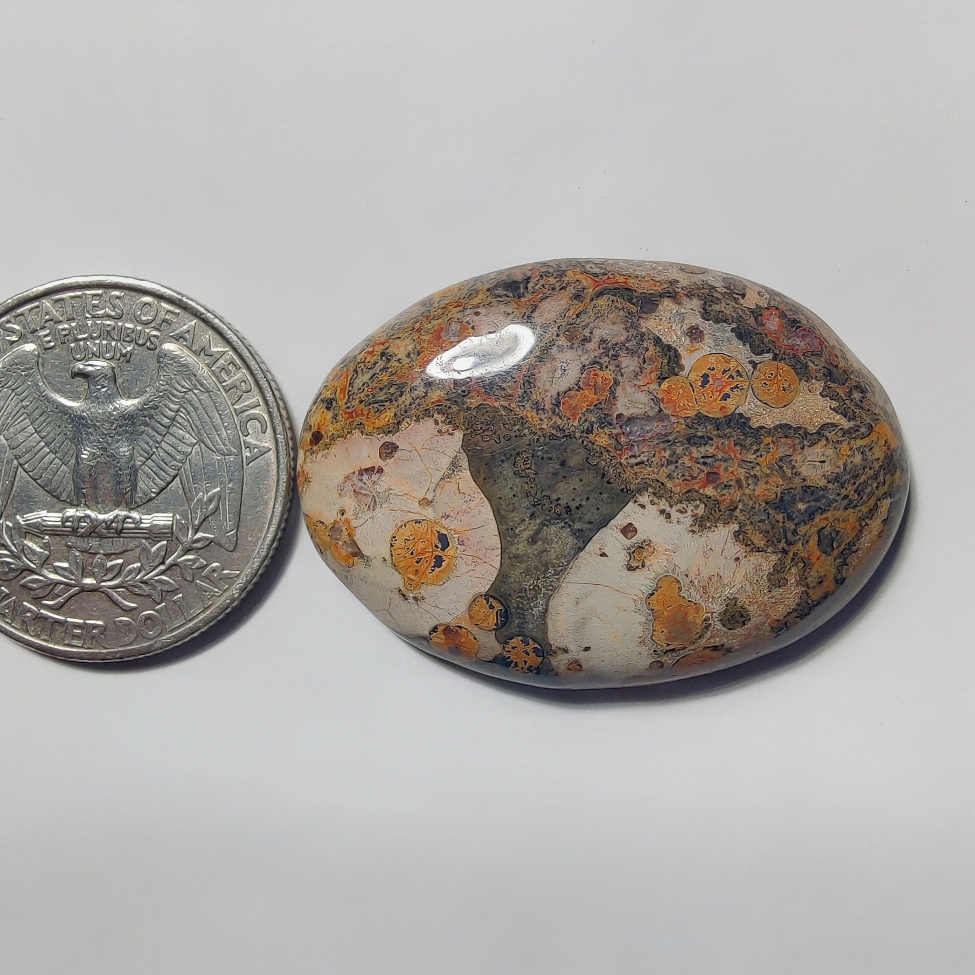 Leopard Skin Jasper gemstone cabochon - natural crystal healing stone for jewelry making by Gemivra