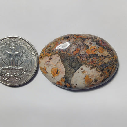 Leopard Skin Jasper gemstone cabochon - natural crystal healing stone for jewelry making by Gemivra