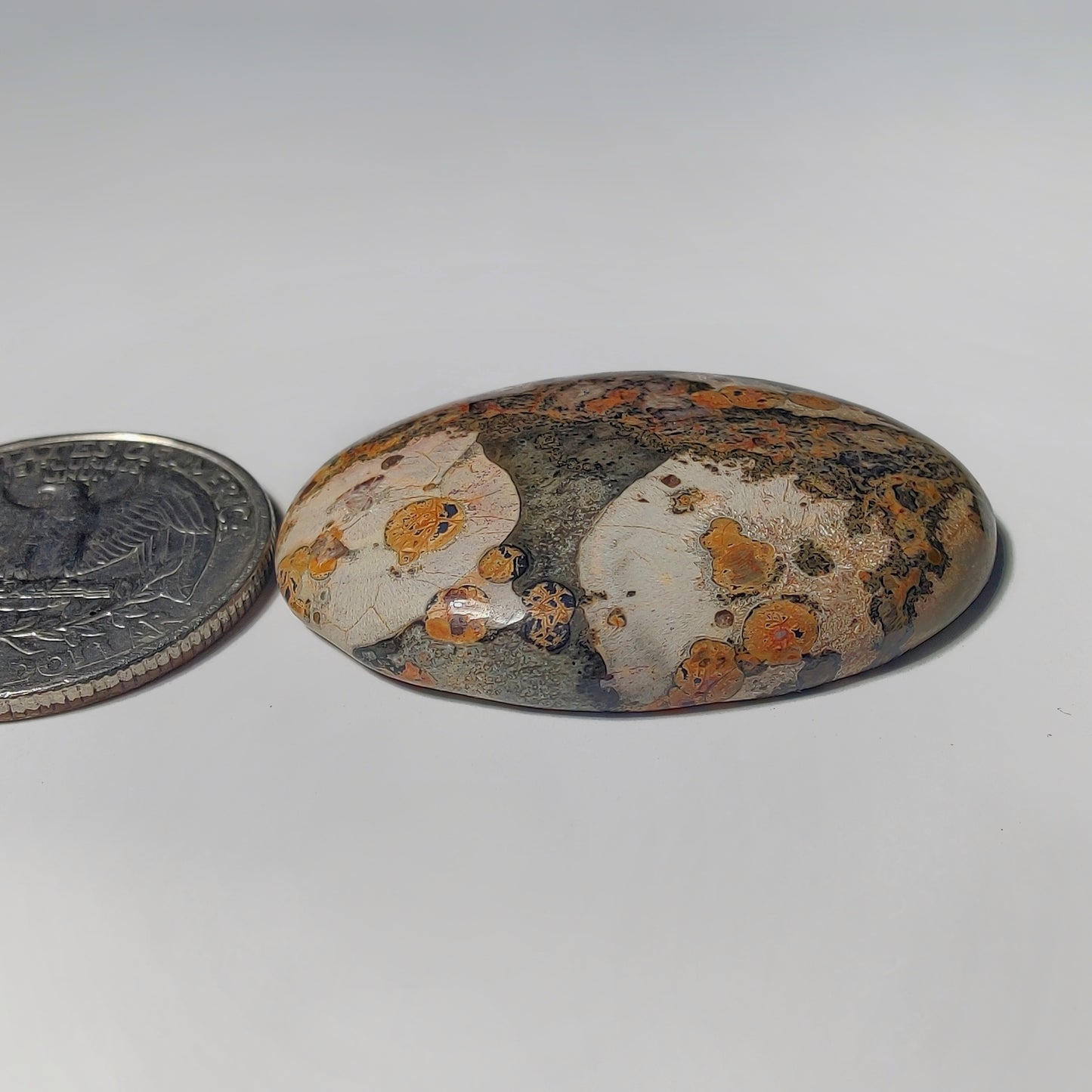 Leopard Skin Jasper