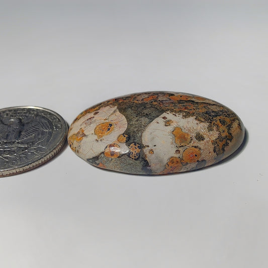 Leopard Skin Jasper