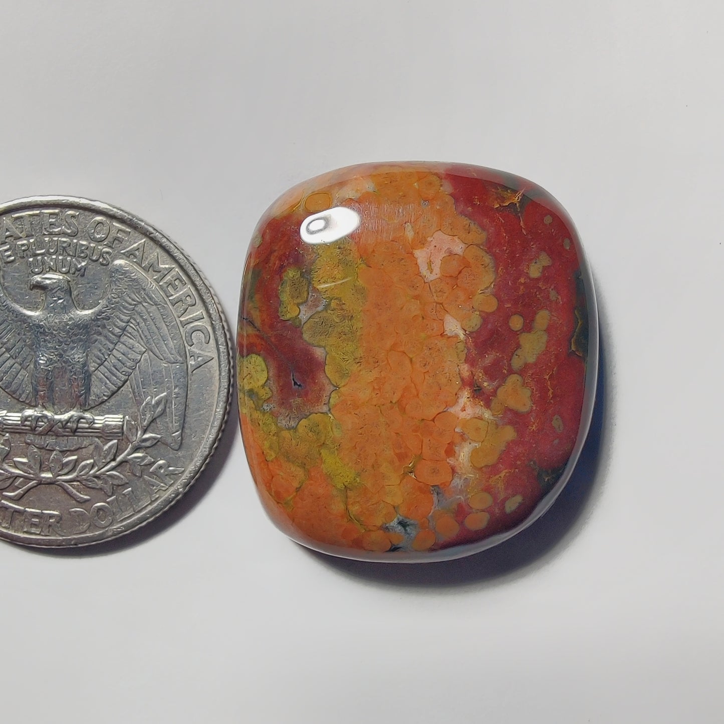 Ocean Jasper gemstone cabochon - natural crystal healing stone for jewelry making by Gemivra