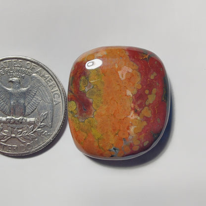 Ocean Jasper gemstone cabochon - natural crystal healing stone for jewelry making by Gemivra