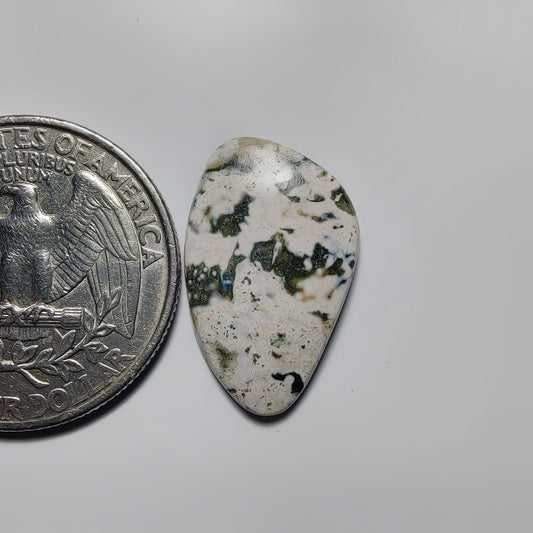 Ocean Jasper