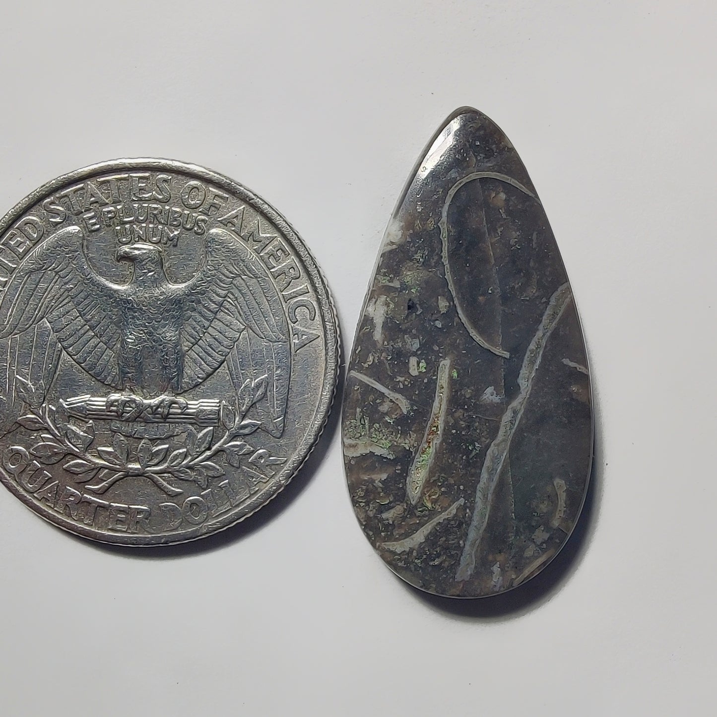 Orthoceras Jasper gemstone cabochon - natural crystal healing stone for jewelry making by Gemivra